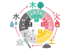 世田谷区でテニス肘の鍼灸施術をする院の東洋医学的考えの参考の図